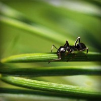 /album/unenrimar/photolia-a05-jpg/