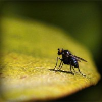 /album/unenrimar/photolia-a07-jpg/