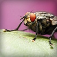 /album/unenrimar/photolia-a08-jpg/